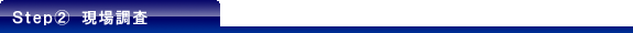 現場調査