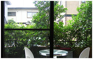 ビジョンコントロールフィルム施工前画像正面