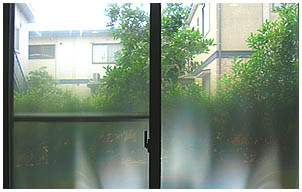 ビジョンコントロールフィルム施工後画像正面