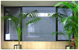 ビジョンコントロールフィルム施工前画像正面