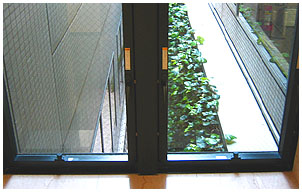 ビジョンコントロールフィルム施工前画像斜め下