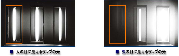 オプトエナジーの防虫効果実験画像